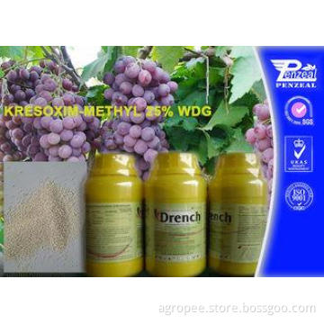 Garden Safe Apple Tree Fungicide Kresoxim - Methyl 25% Wdg